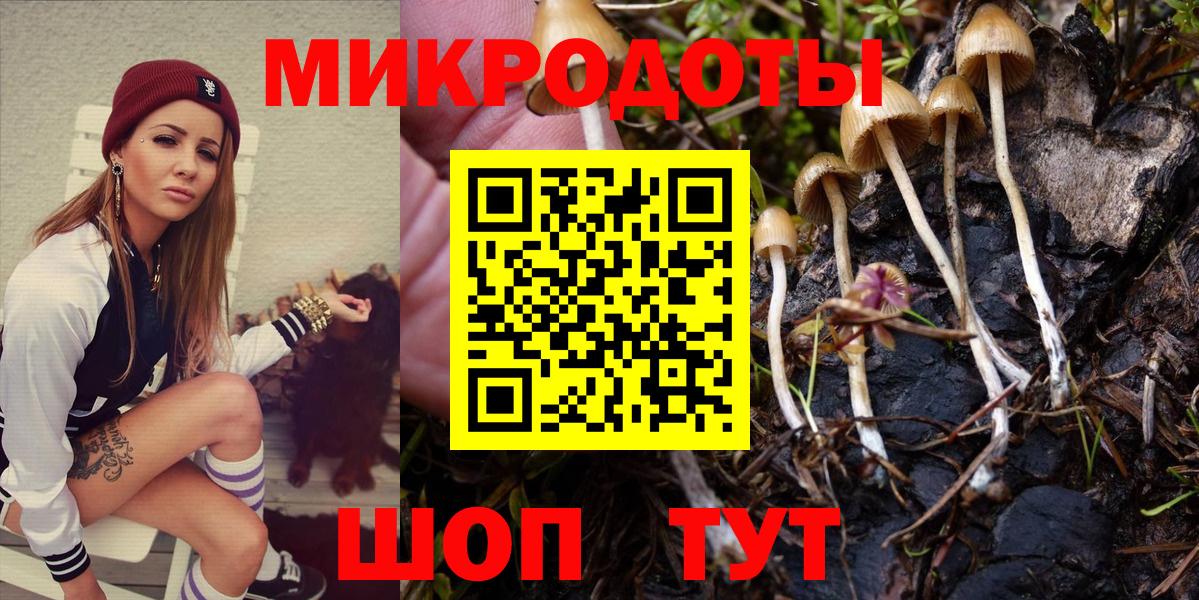 Сланцы  Псилоцибиновые грибы ЛСД  Вход с VPN 