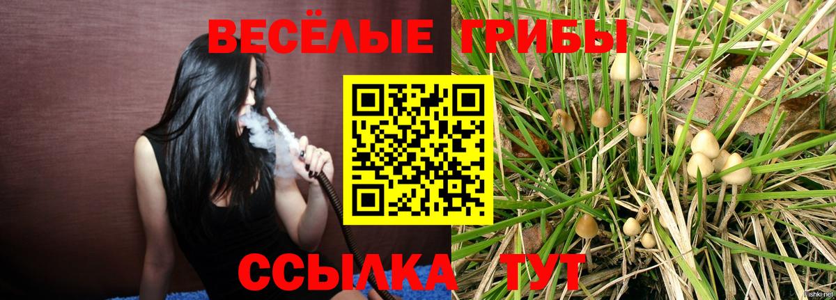 ГАШ  Сланцы  КОКАИН  Марихуана  Вход с VPN  Меф   Гашиш 